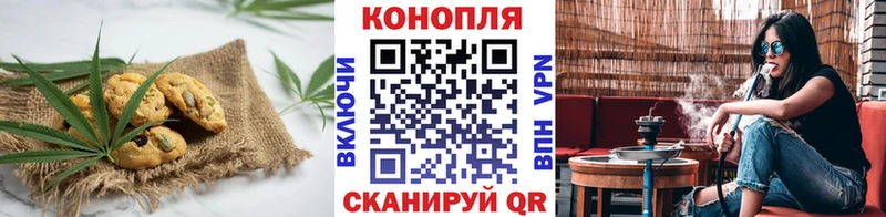 купить наркоту  Сланцы  Canna-Cookies конопля 