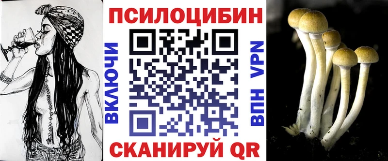 закладки  Сланцы  Псилоцибиновые грибы мицелий 